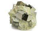 Museum Quality Pyrite Cube Cluster In Matrix - Spain #325094-1